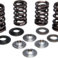 KIBBLEWHITE Valve Spring Kit 30-31580