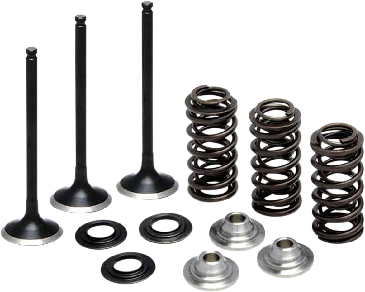 KIBBLEWHITE Valve Spring Kit 80-80850