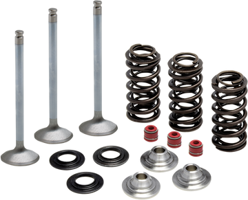 KIBBLEWHITE Valve Spring Kit 80-80950