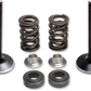 KIBBLEWHITE Valve Spring Kit 80-81100