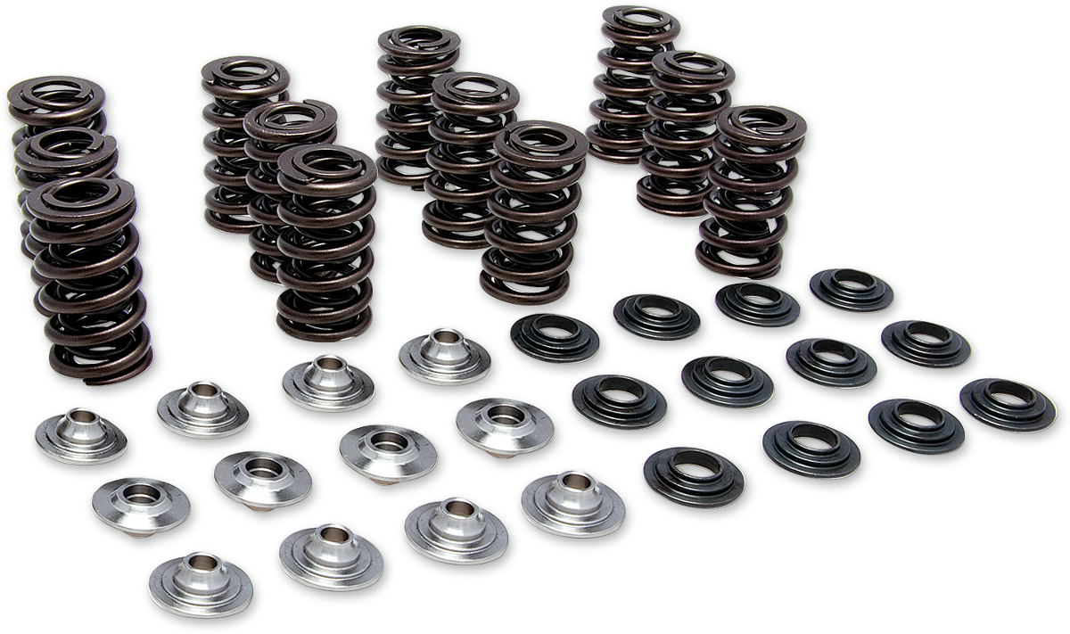 KIBBLEWHITE Valve Spring Kit 80-81300