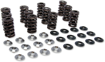 KIBBLEWHITE Valve Spring Kit 80-81300