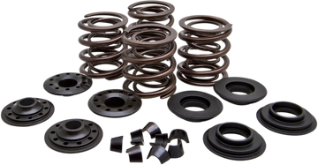 KIBBLEWHITE Valve Spring Kit 20-20450