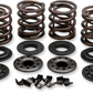 KIBBLEWHITE Valve Spring Kit 20-20850