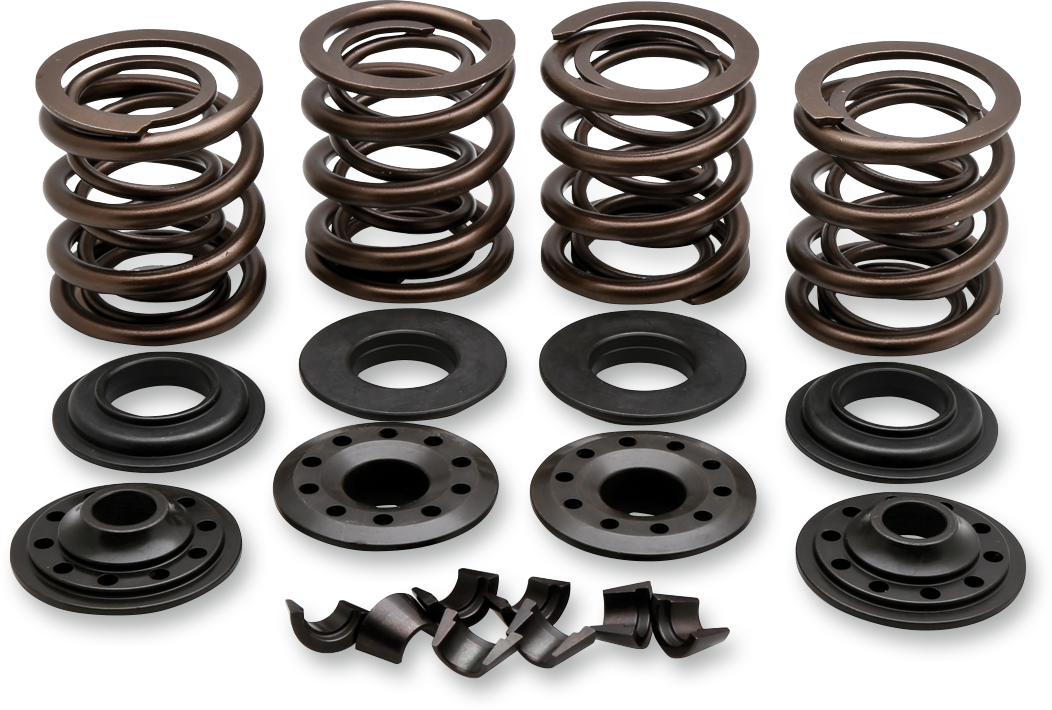 KIBBLEWHITE Valve Spring Kit 20-20850