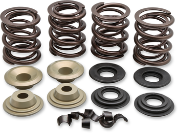 KIBBLEWHITE Valve Spring Kit 20-21100