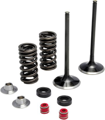 KIBBLEWHITE Spring Kit - Stainless Steel 30-32440