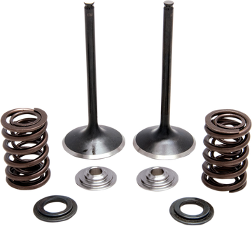 KIBBLEWHITE Spring Kit - Stainless Steel 30-31230