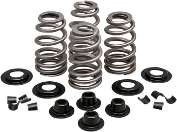 KIBBLEWHITE Spring Kit - .610" - Evolution/Twin Cam 20-21300