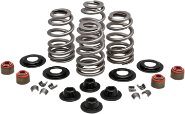 KIBBLEWHITE Spring Kit - .610" - Twin Cam 20-21400