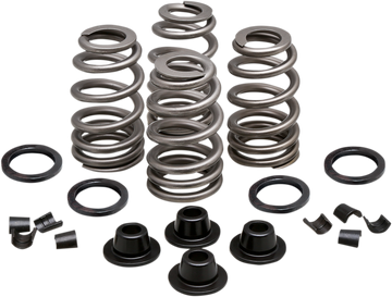 KIBBLEWHITE Spring Kit - .660" - Evolution/Twin Cam 20-21500