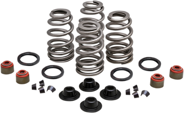 KIBBLEWHITE Spring Kit - .660" - Twin Cam 20-21550