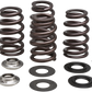 KIBBLEWHITE Beehive Valve Spring Kit 96-96500