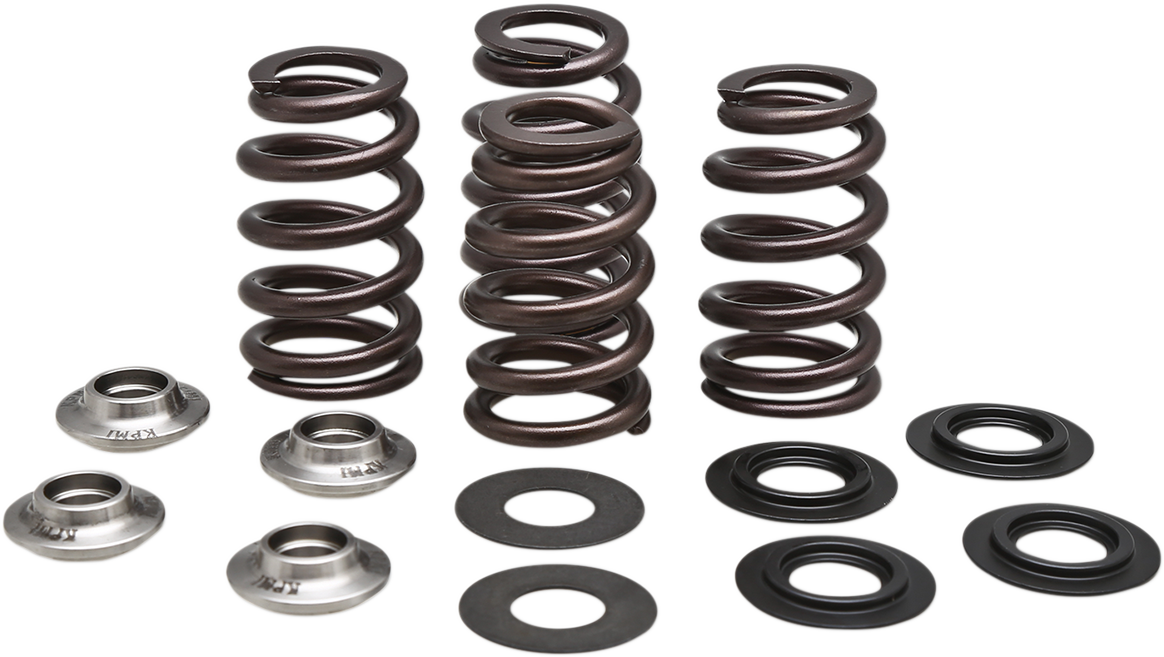 KIBBLEWHITE Beehive Valve Spring Kit 96-96500