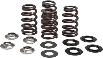 KIBBLEWHITE Beehive Valve Spring Kit 96-96500