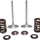 KIBBLEWHITE Intake Valve Kit 30-32780