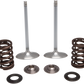 KIBBLEWHITE Intake Valve Kit 40-41450