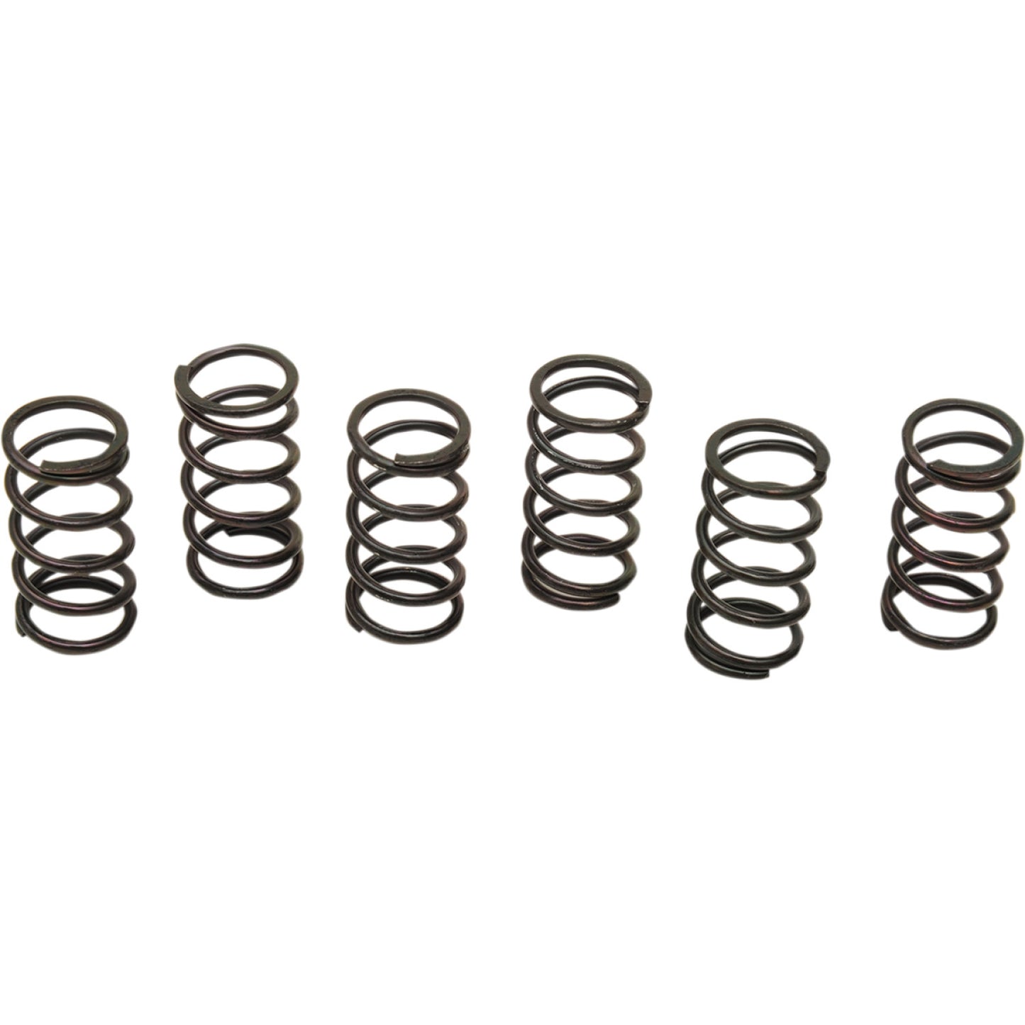 Barnett Clutch Springs 501-29-06051 | Clutch Plates & Springs