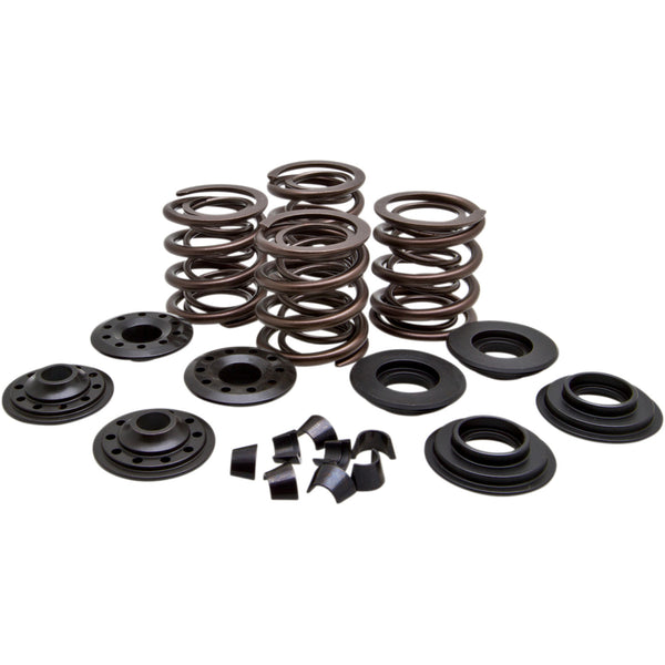 Kibblewhite Valve Spring Kit 20-20450