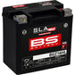 BS Battery Battery - BGZ16HL 300932