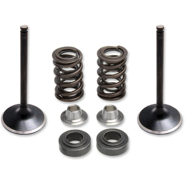 Kibblewhite Valve Spring Kit 80-81100 | Valves & Parts | Kibblewhite