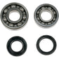 Moose Racing Crank Bearings and Seals - Yamaha 24-1043