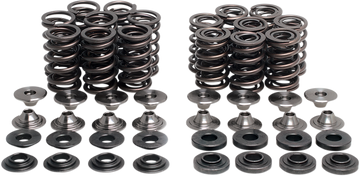 KIBBLEWHITE Valve Spring Kit 40-41100