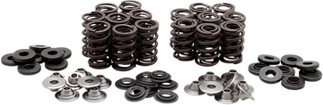 KIBBLEWHITE Valve Spring Kit 40-40850