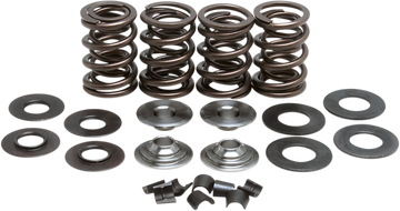 KIBBLEWHITE Valve Spring Kit 60-60120