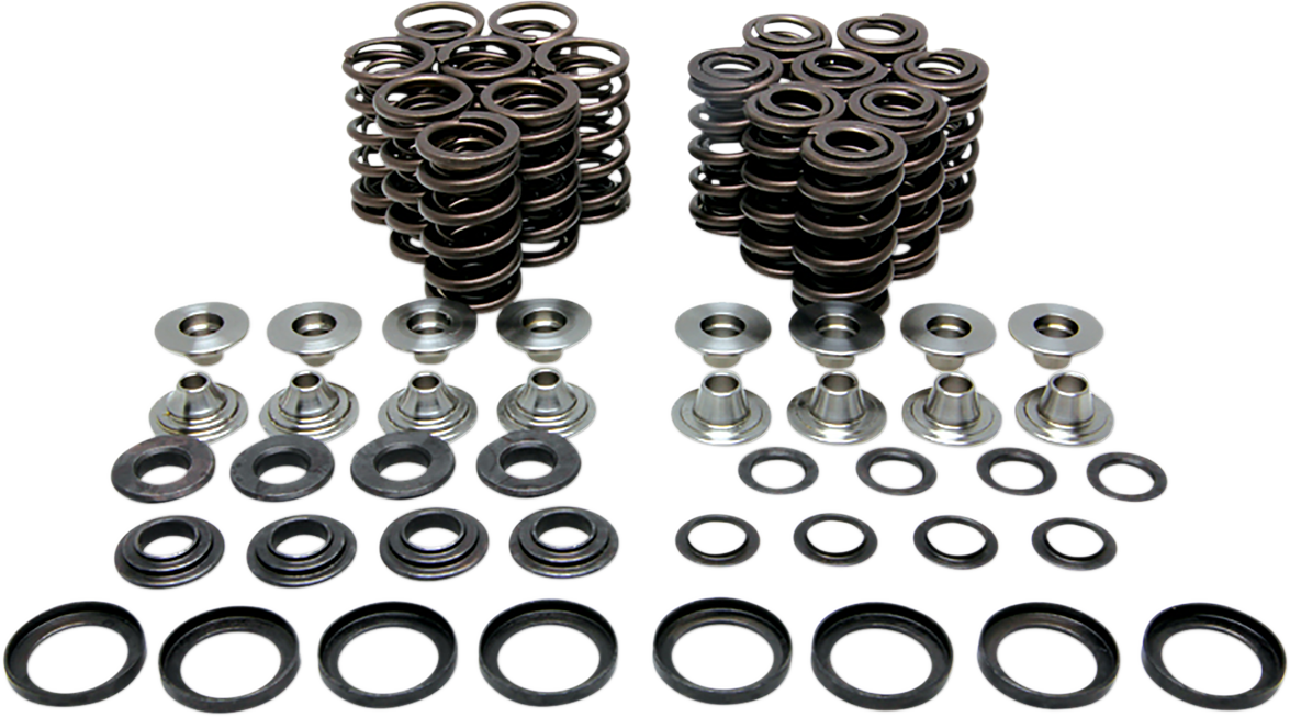 KIBBLEWHITE Valve Spring Kit 80-80650