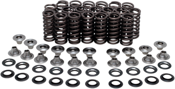 KIBBLEWHITE Valve Spring Kit 80-80500