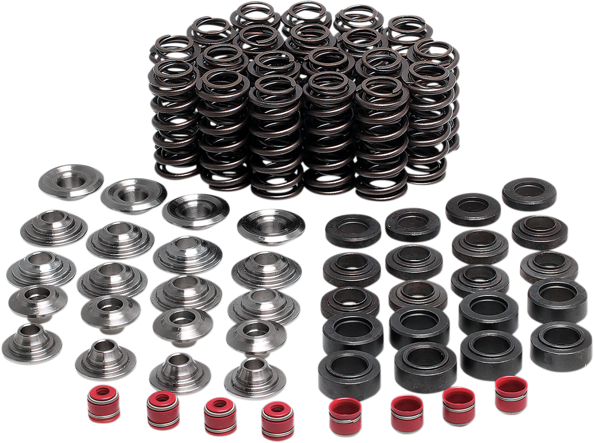 KIBBLEWHITE Valve Spring Kit 80-80250