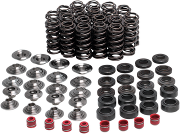 KIBBLEWHITE Valve Spring Kit 80-80250