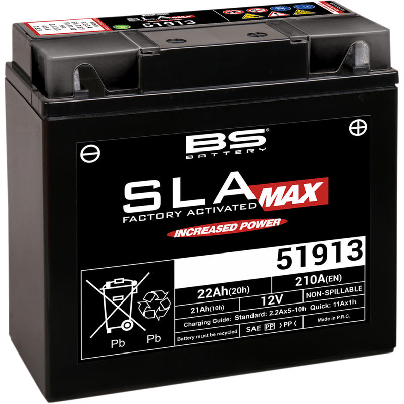 BS Battery Battery - 51913 300860