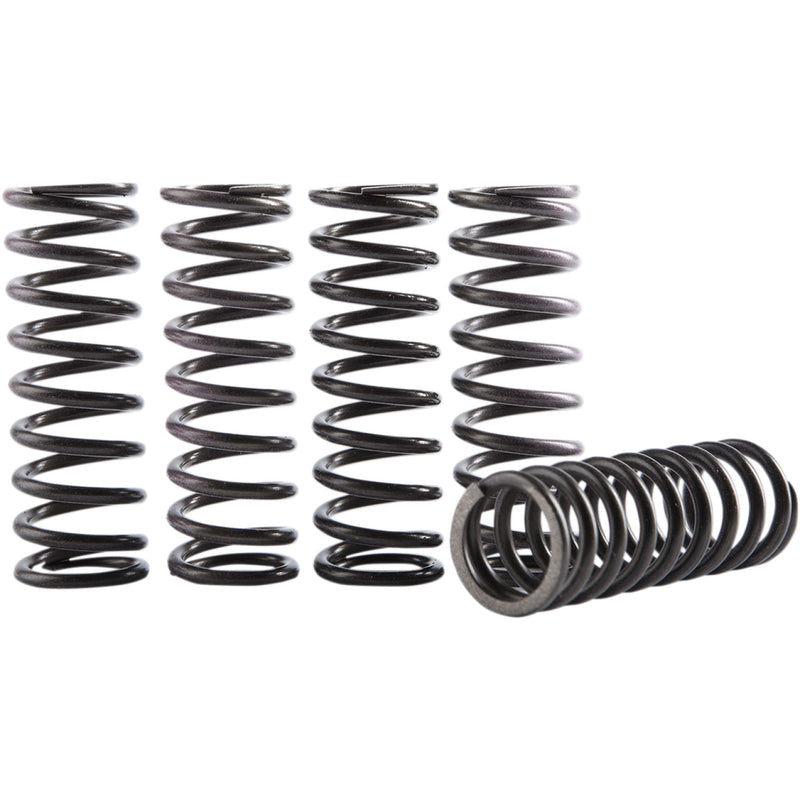 HINSON RACING Clutch Spring Kit CS069-5-001 by Hinson Racing Clutch Plates & Springs
