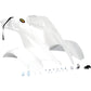 Maier Front Fender - White 117201