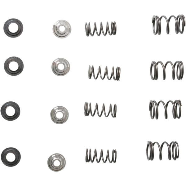 KIBBLEWHITE Spring Kit 30-30015
