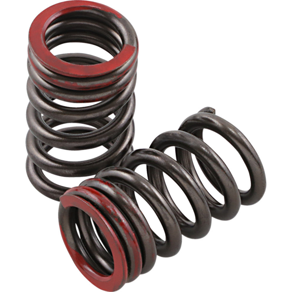 XCELDYNE Valve Springs - Exhaust - Honda PSIMX2401