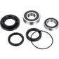 Factory Links Wheel Bearing Kit - Rear - Honda TRX420/500/520 ARA-H-019