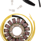 RICK'S MOTORSPORT ELECTRIC Stator - Honda 21-153