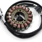 RICK'S MOTORSPORT ELECTRIC Stator - Yamaha 24-400