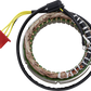 RICK'S MOTORSPORT ELECTRIC Stator - Honda 21-152