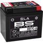 BS Battery Battery - BB7C-A (YB) 300843