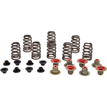 Kibblewhite Valve Spring Kit 82-82550 | Valves & Parts | Kibblewhite