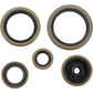 Moose Racing Motor Seals - Husaberg/Husqvarna/KTM 822269MSE