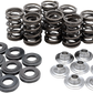 KIBBLEWHITE Valve Spring Kit 82-83300