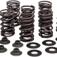 KIBBLEWHITE Valve Spring Kit 82-83350