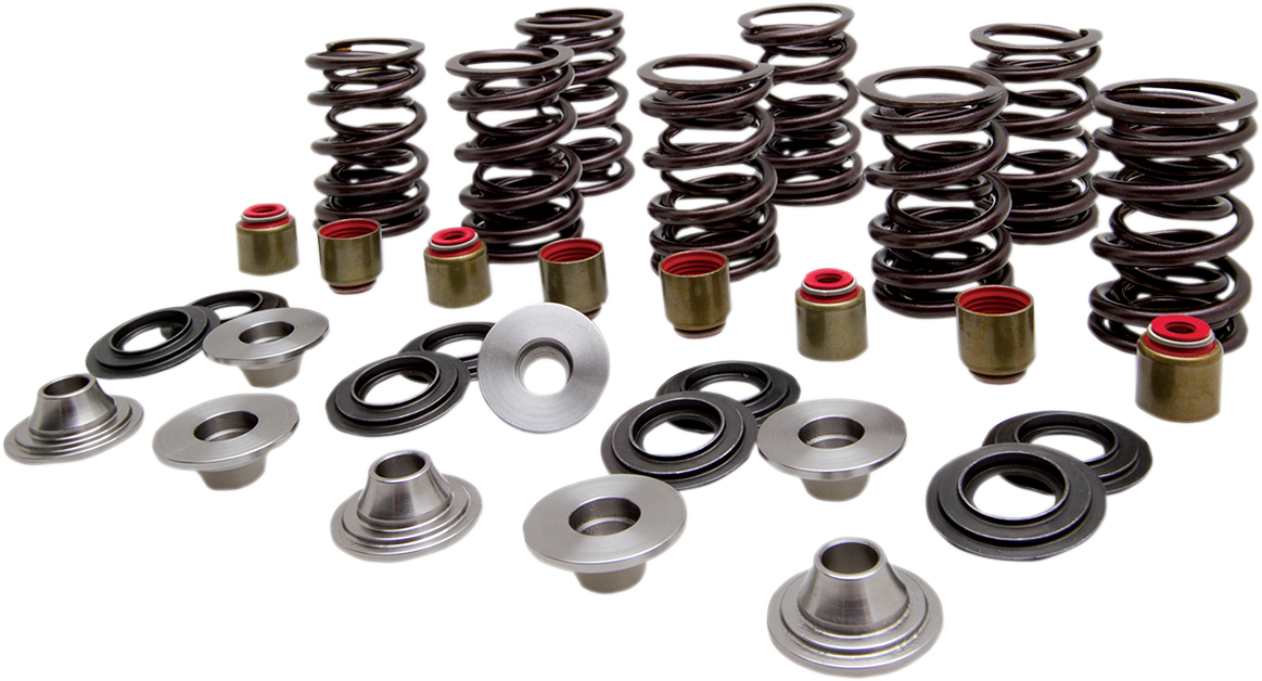 KIBBLEWHITE Valve Spring Kit 82-83400