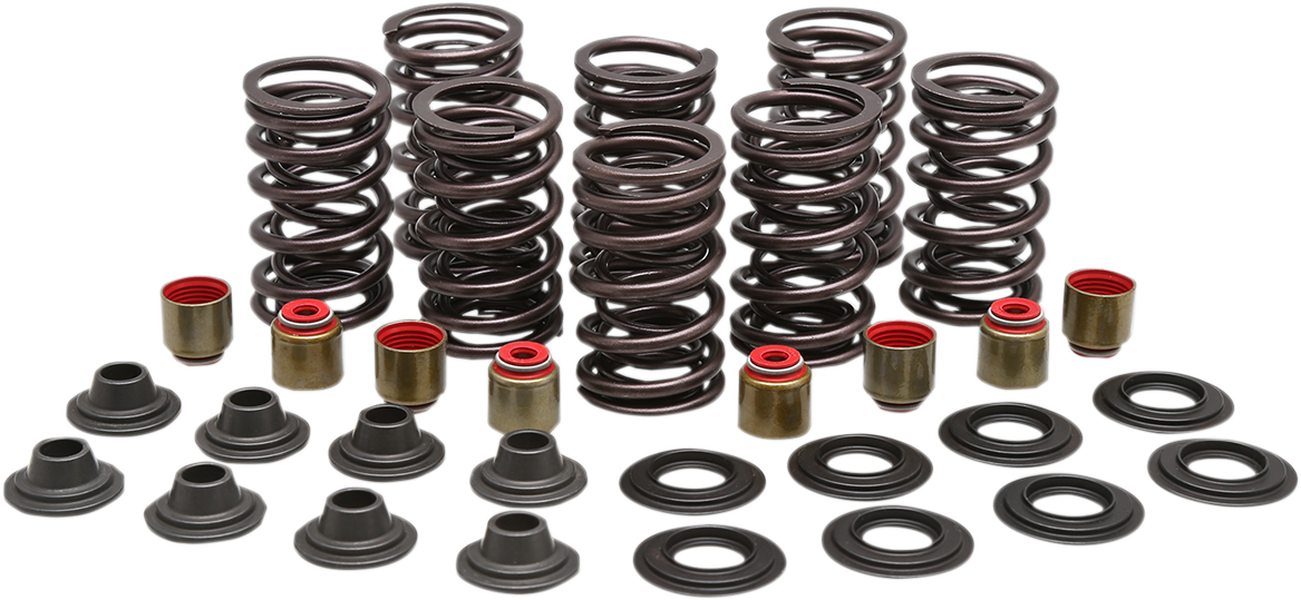 KIBBLEWHITE Valve Spring Kit 82-83450