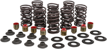 KIBBLEWHITE Valve Spring Kit 82-83450